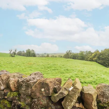 Ewes Leap
